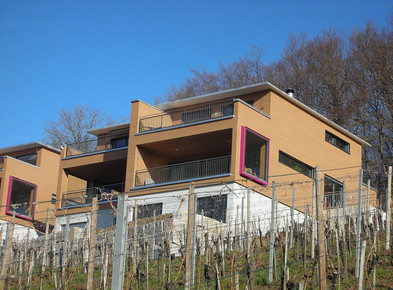 Wolfzangen 90 Neftenbach