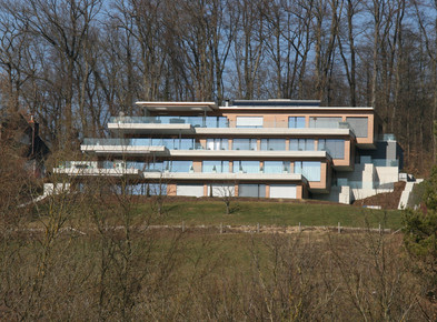 Wolfzangenstrasse 60  Neftenbach